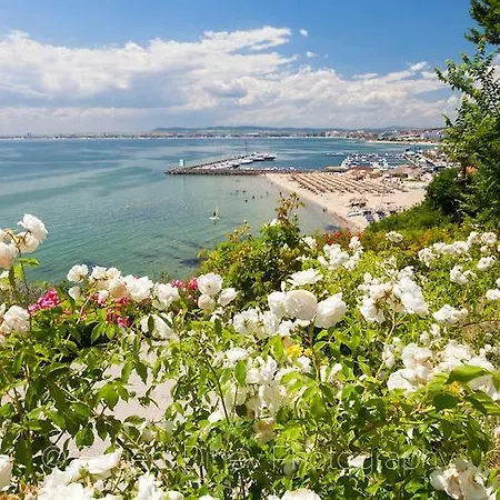 Studio In Sun Coast Sveti Vlas